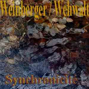 Weinberger / Wehwalt - Synchronicité download flac