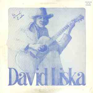 David Liska - Startin All Over Again download flac