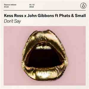 Kess Ross X John Gibbons  Ft. Phats & Small - Don't Say download flac