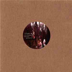 Llarks - Cloudwires download flac