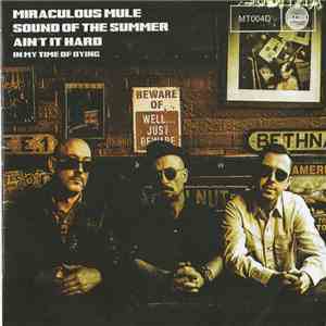Miraculous Mule - Sound Of The Summer download flac