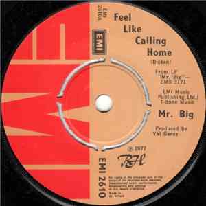 Mr. Big - Feel Like Calling Home download flac