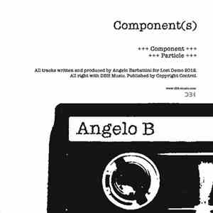 Angelo B - Component(s) download flac