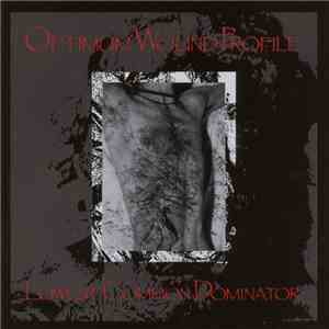 Optimum Wound Profile - Lowest Common Dominator FLAC album