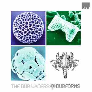 The Dub Vaders - Dubforms download flac