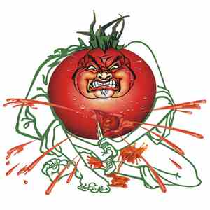 Tomato Juice - Psycho Country Break download flac