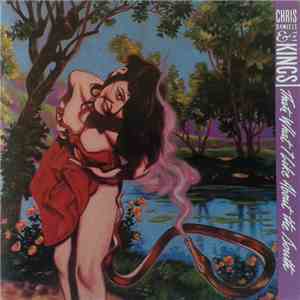 Chris Daniels & The Kings - That's What I Like About The South download flac