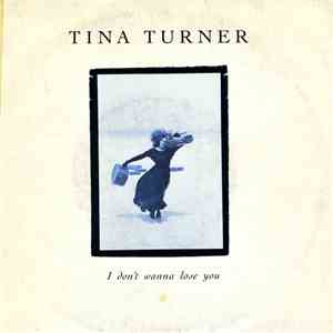 Tina Turner - I Don't Wanna Lose You download flac