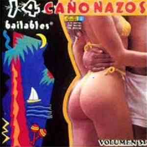 Various - 14 Cañonazos Bailables Vol. 31 download flac