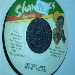 Steve Tulloch - Perfect Love download flac