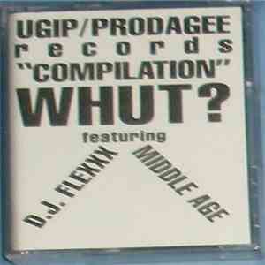 D.J. Flexxx / Middle Age - UGIP/Prodagee Records "Compilation": Whut? download flac