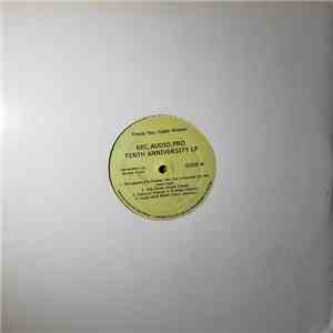 REC.AUDIO.PRO - Tenth Anniversary LP download flac