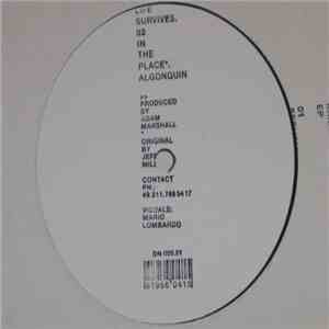 Adam Marshall - New Kanada Ep download flac