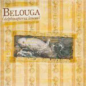 Belouga - Delphinapterus Leucas download flac