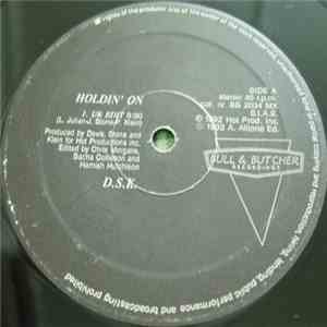 D.S.K. - Holdin' On download flac