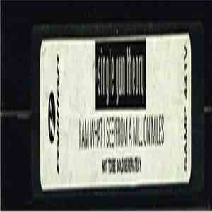 Single Gun Theory - I Am What I See / From A Million Miles download flac