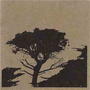 Taiga Remains - Ribbons Of Dust download flac
