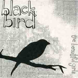 The Beautiful Girls - Black Bird FLAC album