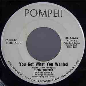 Tina Turner - You Got What You Wanted/Too Hot To Hold download flac