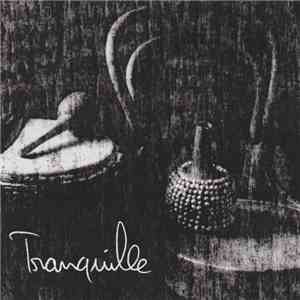 Gaetan Breton - Tranquille download flac