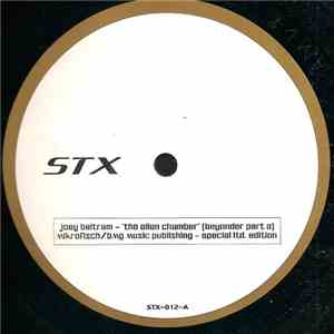 Joey Beltram - The Alien Chamber (Beyonder Part A) download flac