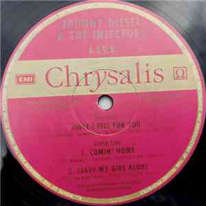 Johnny Diesel & The Injectors - Since I Fell For You download flac
