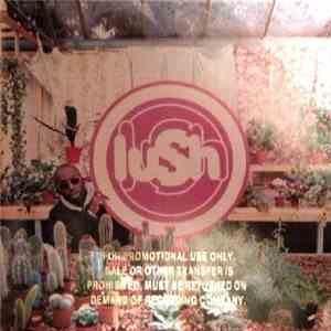 Lush - Lovelife download flac