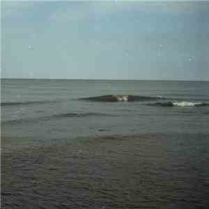 op.cit. - The Echosweel Understation download flac