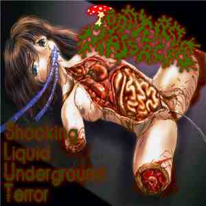 ToadTurdMassacre - Shocking Liquid Underground Terror download flac