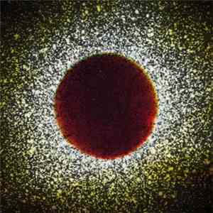 Insub Meta Orchestra - Archive #1 download flac