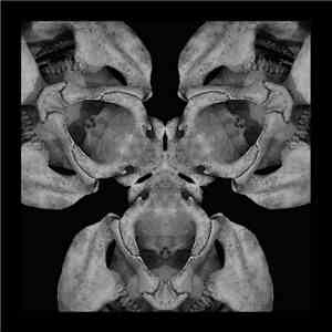 Snowbeasts - Transformation II download flac