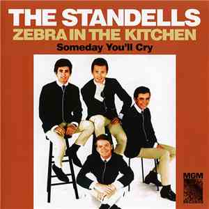 The Standells - Zebra In The Kitchen / Someday You'll Cry download flac