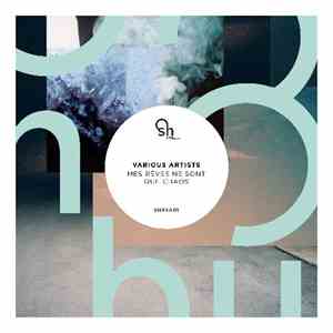 Various - Mes Reves Ne Sont Que Chaos download flac