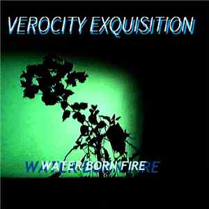 Verocity Exquisition - Exercise Three  download flac