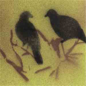 Celer - Para download flac