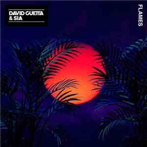 David Guetta & Sia - Flames download flac