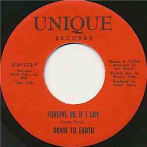 Down To Earth  - Forgive Me If I Cry download flac