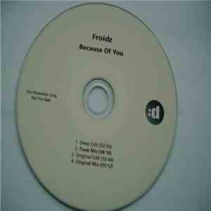 Froidz - Because Of You download flac