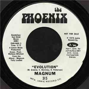 Magnum - Evolution / Your Mind download flac