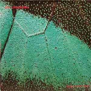 The Charlottes - Things Come Apart download flac