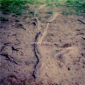 Benoît Pioulard - Isolatedmix 62 download flac