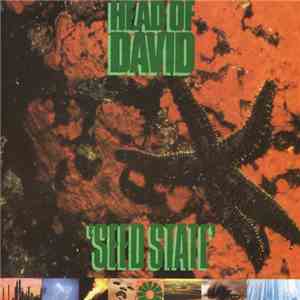 Head Of David - Seed State download flac