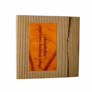 Inorganic Blossoming - Seasons Project: Autumndrones download flac