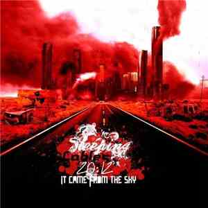 Sleeping Cables - It Came From The Sky download flac