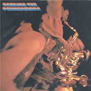 The Foundations - Rocking The Foundations download flac