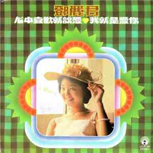 鄧麗君 - 心中喜歡就說愛 我就是愛你 download flac