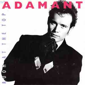Adam Ant - Room At The Top download flac