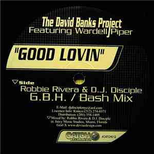 David Banks Project Featuring Wardell Piper - Good Lovin download flac