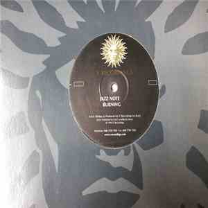 Krust - Jazz Note / Burning download flac