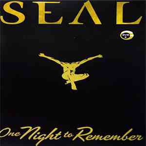 Seal - One Night To Remember download flac